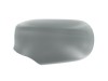 Wing mirror cover Jaguar S-Type Ph1
