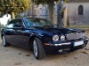 Mesh grille Inserts Jaguar XJ X350