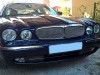 Mesh grille Inserts Jaguar XJ X350