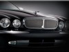 Mesh grille Inserts Jaguar XJ X350