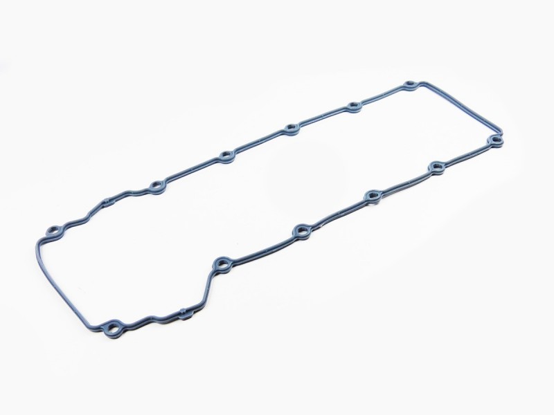 Cam cover gasket Jaguar XJ X308 / X100