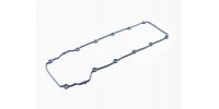 Cam cover gasket Jaguar X308 / X100 before 1999