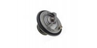 Thermostat Jaguar X100 / X308 / X350 / S-Type V8