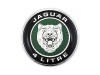 Bonnet badge XR88873 Jaguar S-Type 4.0