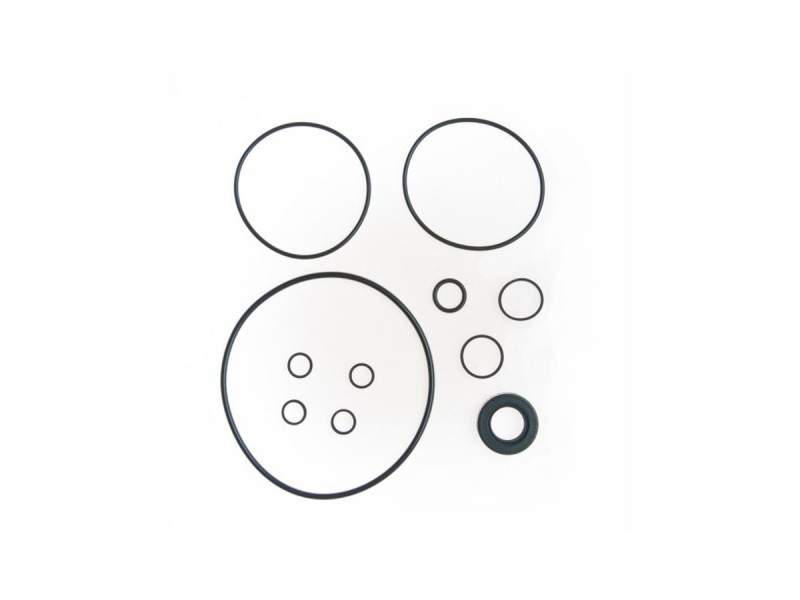 Steering pump seal service kit 518564J Jaguar E-Type / XJS / XJ Series I, II & III