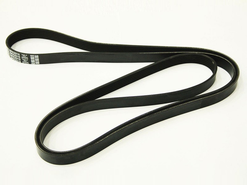 Engine drive belt C2C37063 Jaguar XF / X150 / X100 / X350 / S-Type V8