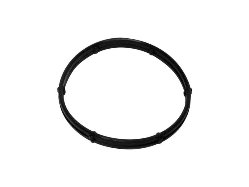 Joint de support de thermostat NCA2269CA Jaguar V8