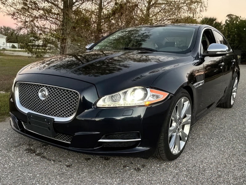 Tapis en laine d'agneau Jaguar XJ