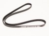 Water pump drive belt EAC9898 Jaguar XJ X300 V12